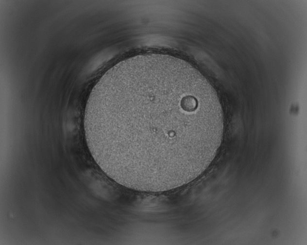X0000101970824200807181103