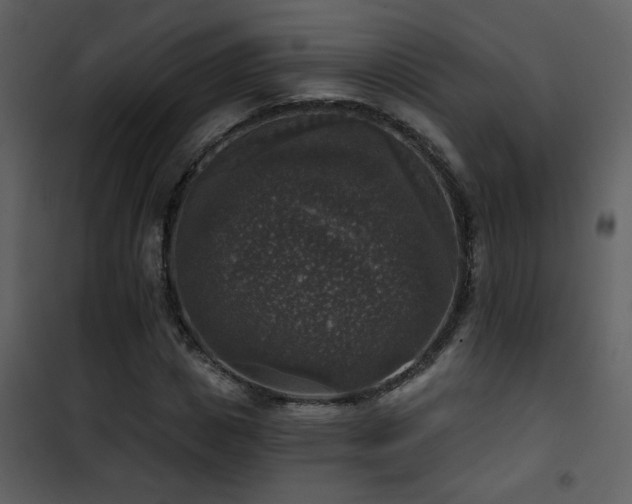 X0000101970825200807181103