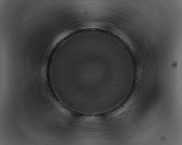 X0000101970826200807181103