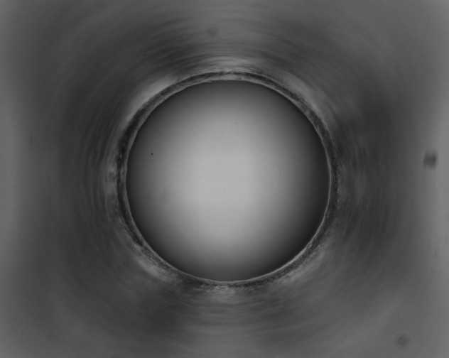 X0000101970827200807181103