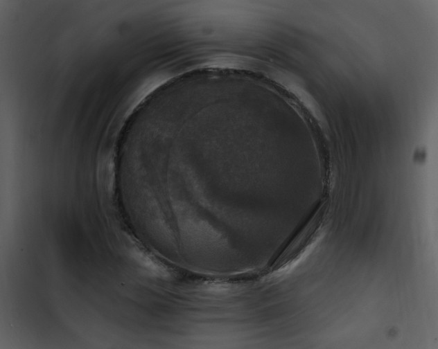 X0000101970829200807181103