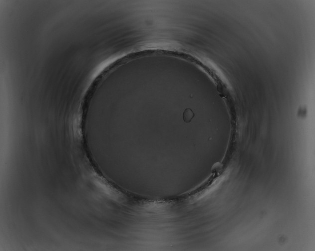 X0000101970830200807181103