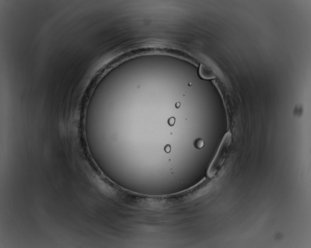 X0000101970831200807181103