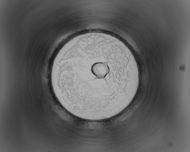 X0000101970832200807181103