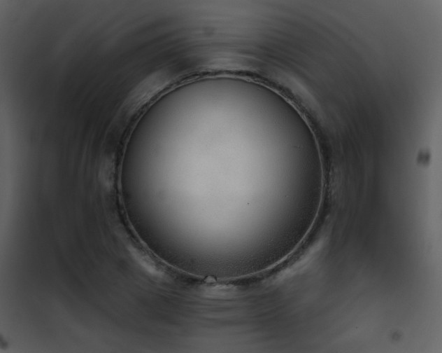 X0000101970833200807181103