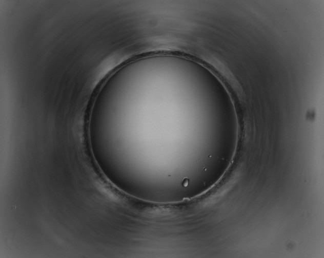 X0000101970834200807181103