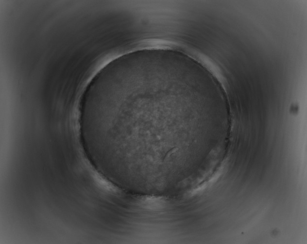 X0000101970835200807181103