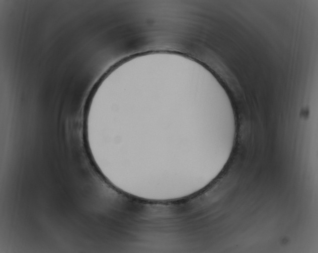 X0000101970836200807181103