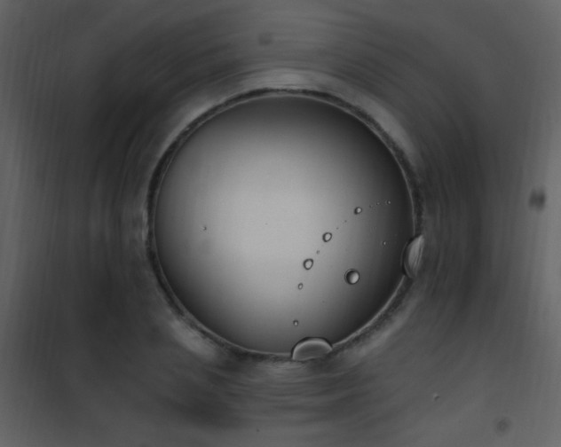 X0000101970837200807181103