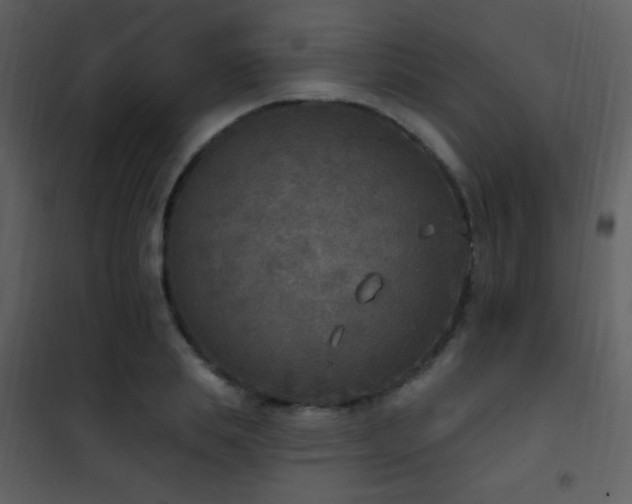 X0000101970839200807181103