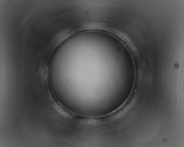X0000101970841200807181103