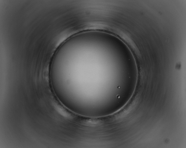 X0000101970842200807181103
