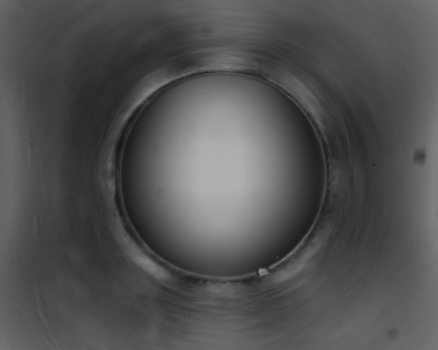 X0000101970843200807181103