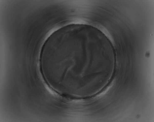 X0000101970845200807181103