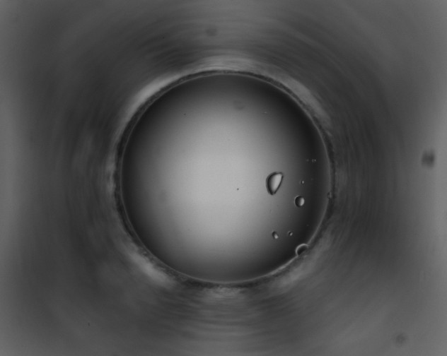 X0000101970846200807181103