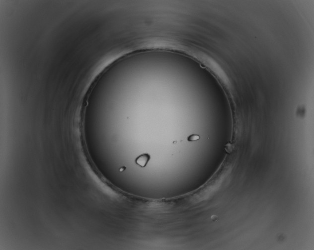 X0000101970847200807181103