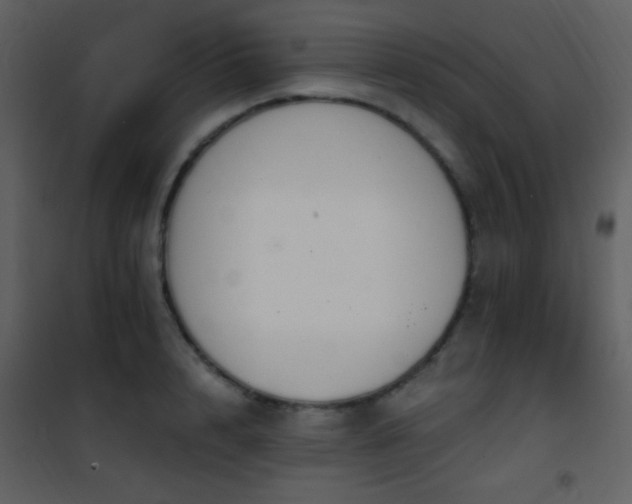 X0000101970848200807181103
