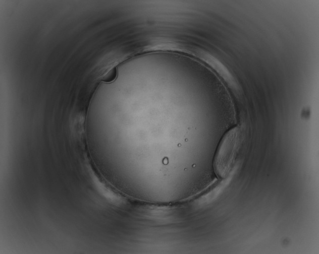 X0000101970849200807181103
