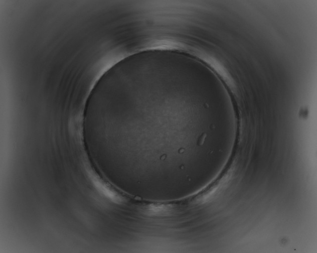 X0000101970850200807181103