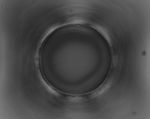 X0000101970851200807181103