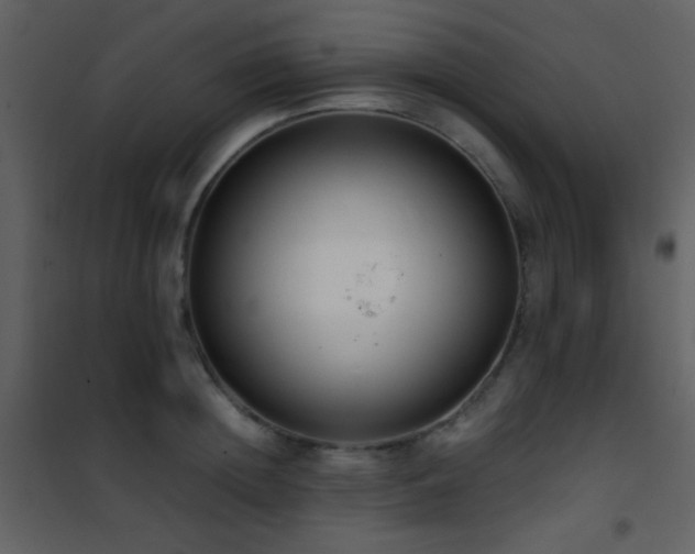 X0000101970852200807181103