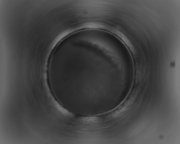 X0000101970853200807181103
