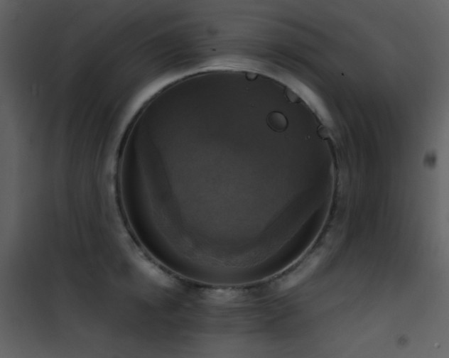 X0000101970854200807181103
