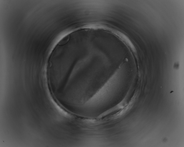 X0000101970855200807181103