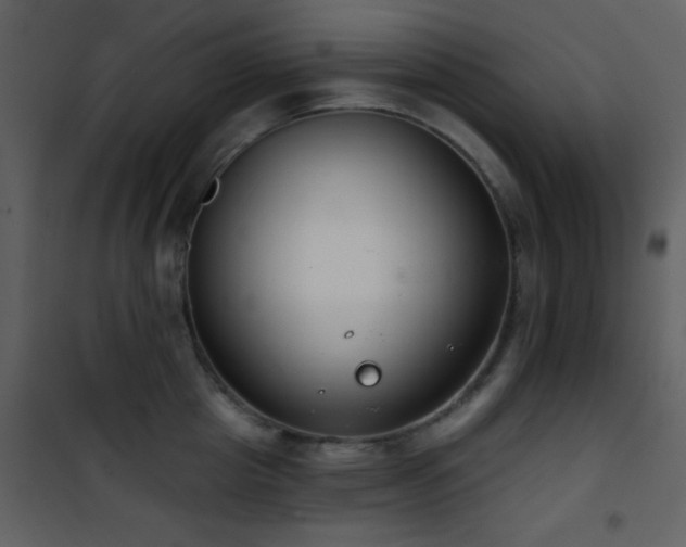 X0000101970857200807181103