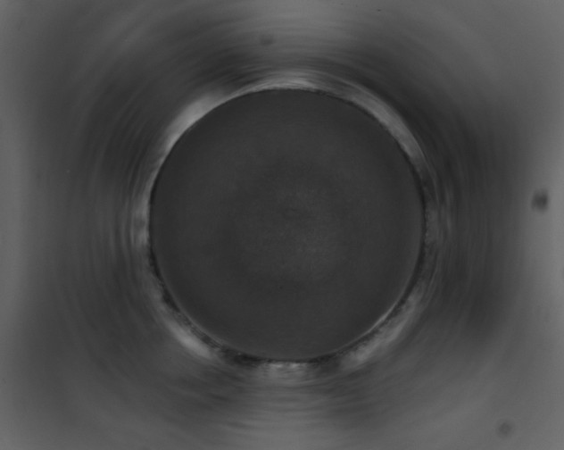 X0000101970858200807181103