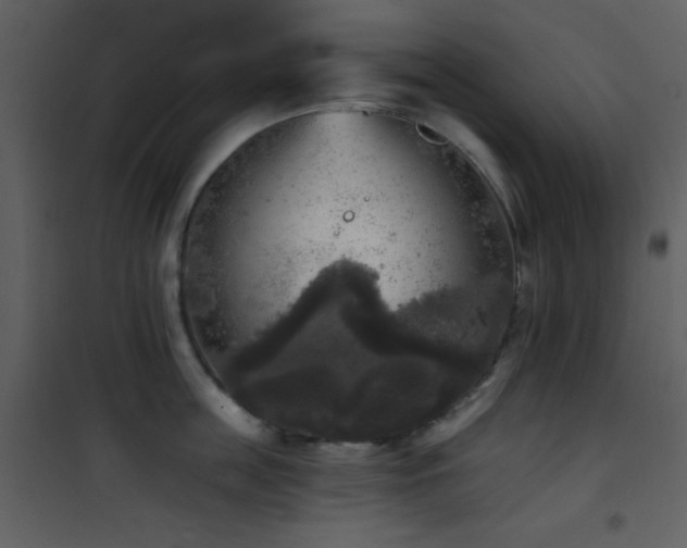 X0000101970859200807181103