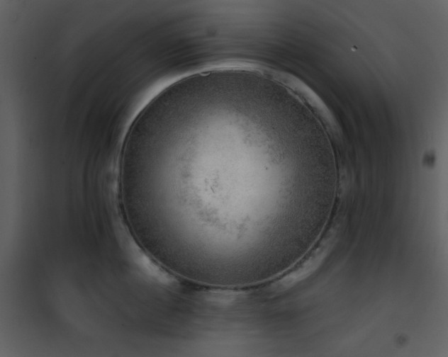 X0000101970860200807181103