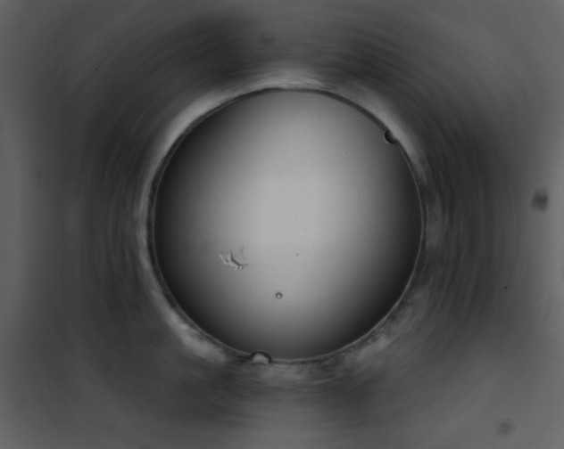 X0000101970861200807181103