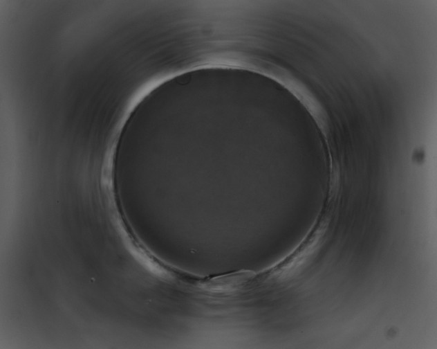 X0000101970862200807181103