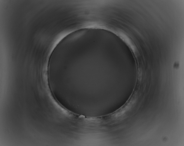 X0000101970863200807181103