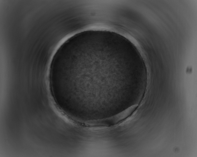 X0000101970864200807181103