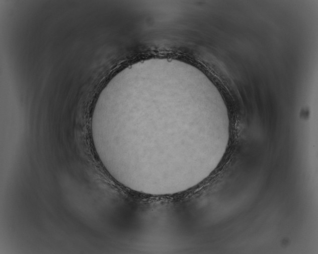 X0000101970865200807181103