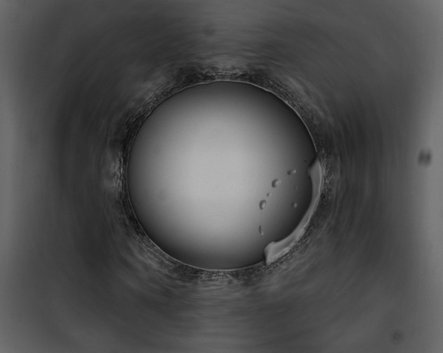 X0000101970866200807181102