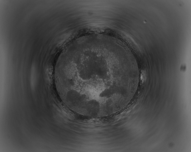X0000101970867200807181102