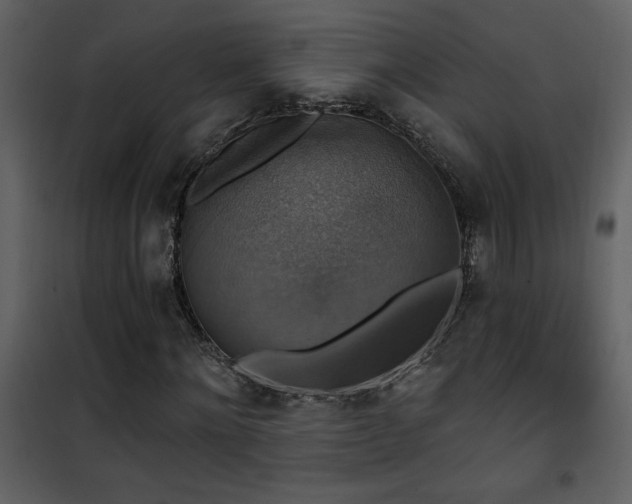 X0000101970868200807181102