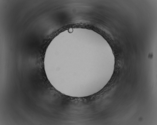 X0000101970869200807181102