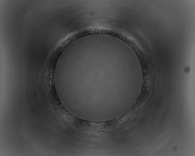 X0000101970870200807181102