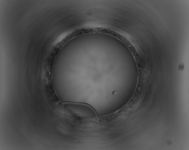 X0000101970871200807181102
