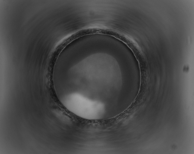 X0000101970872200807181102