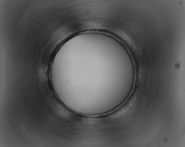 X0000101970873200807181102