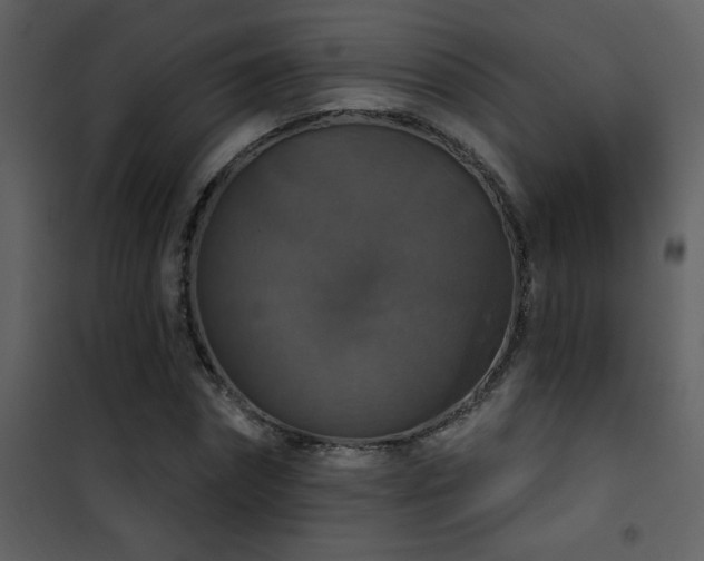 X0000101970874200807181102