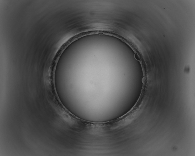 X0000101970875200807181102