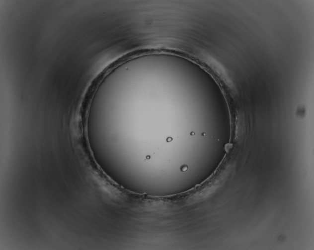X0000101970876200807181102
