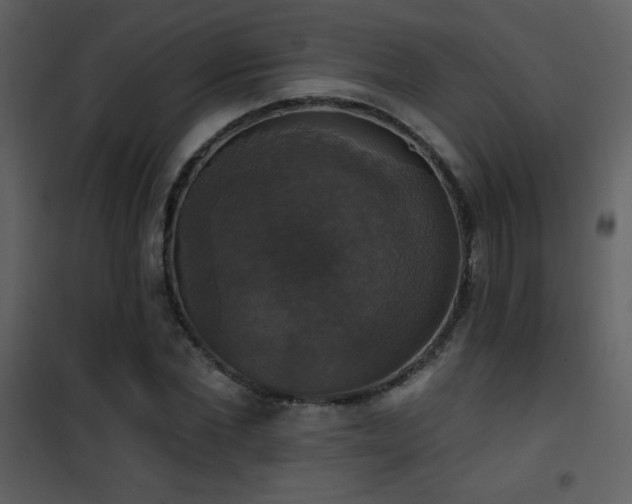 X0000101970877200807181102