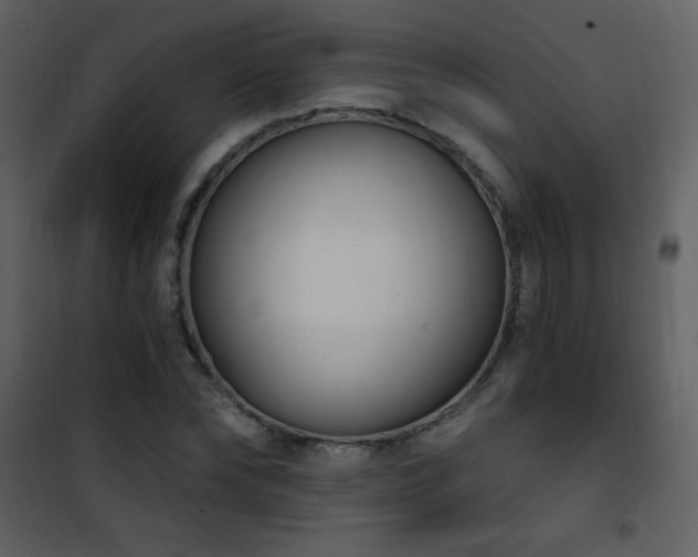 X0000101970878200807181102